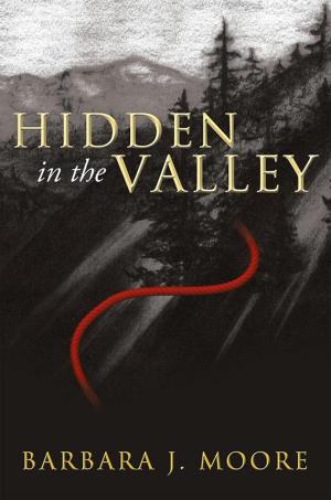 Cover of the book Hidden in the Valley by M.A. Coulter
