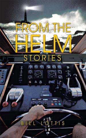 Cover of the book From the Helm by Shellie Hipsky