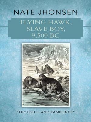 Cover of the book Flying Hawk, Slave Boy, 9,500 Bc by Audrey Lupisella