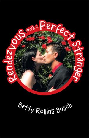 Cover of the book Rendezvous with a Perfect Stranger by Robert Metevia