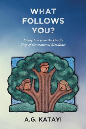 Cover of the book What Follows You by J.H. Leander