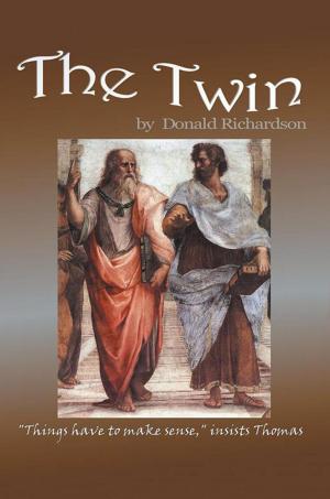 Cover of the book The Twin by Debra Denise Scherer