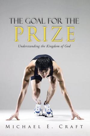 bigCover of the book The Goal for the Prize by 