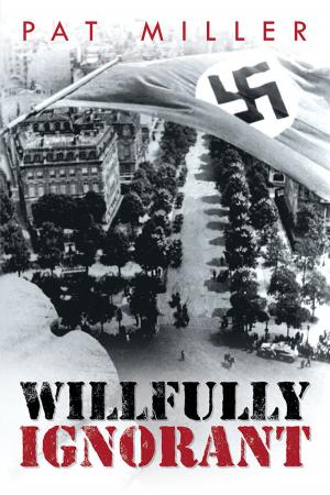 Book cover of Willfully Ignorant