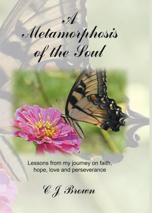 Cover of the book A Metamorphosis of the Soul by Thomas C. Weedon