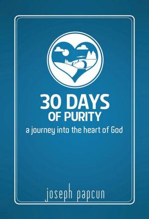 Cover of the book 30 Days of Purity by Ryan Davis