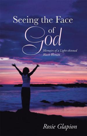 Cover of the book Seeing the Face of God by Gail J. Manizak