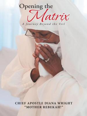 Cover of the book Opening the Matrix by J.I. Suleri
