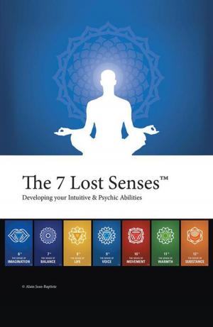 Cover of the book The 7 Lost Senses™ by David W. Driver