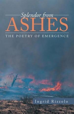 Cover of the book Splendor from Ashes by Annie Love