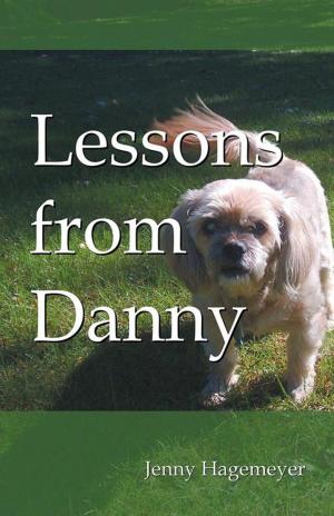Cover of the book Lessons from Danny by Mitch C. Bronston, Nils K. Oeijord
