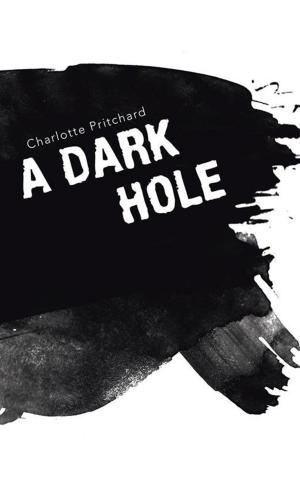 Cover of the book A Dark Hole by Georges Ohnet