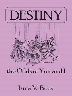 Cover of the book Destiny: the Odds of You and I by Danny Rittman