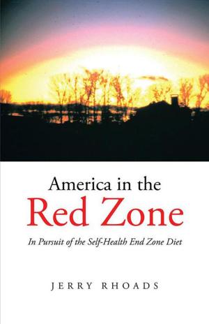 Cover of the book America in the Red Zone by Tony DeLiso