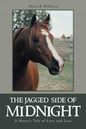 Cover of the book The Jagged Side of Midnight by Jeanine E. Bassett