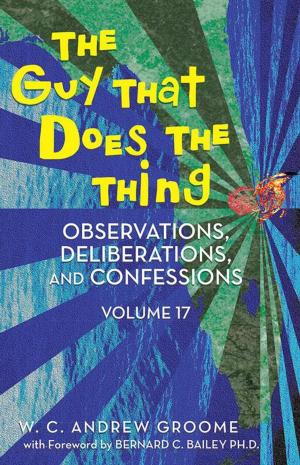 Book cover of The Guy That Does the Thing - Observations, Deliberations, and Confessions Volume 17