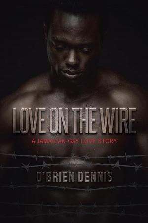 Cover of the book Love on the Wire by Karen Kenyon