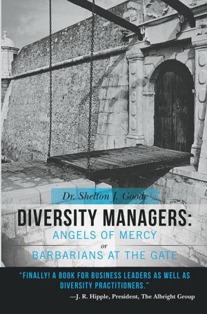 Cover of the book Diversity Managers: Angels of Mercy or Barbarians at the Gate by J. A. Edwards