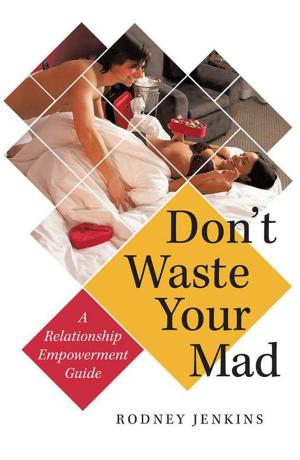 Cover of the book Don’T Waste Your Mad by K. Hippolite