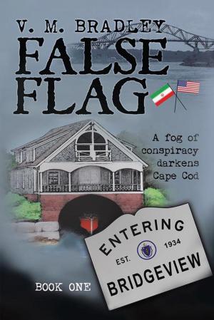 Cover of the book False Flag by R.Ray Sette