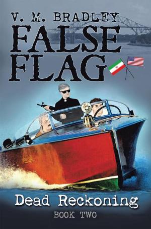 Cover of the book False Flag by Elizabeth Ann Kuhn