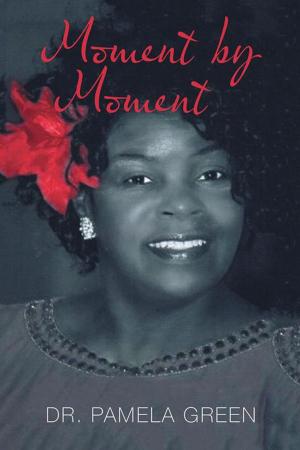 Cover of the book Moment by Moment by Pamela Call Johnson