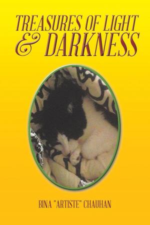 Cover of the book Treasures of Light & Darkness by Sister Valerie Zielinski O.P.