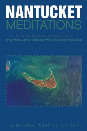 Cover of the book Nantucket Meditations by B Huntimer
