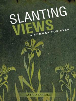 Cover of the book Slanting Views by Linda Porter Harrison