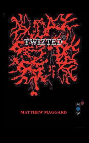 Cover of the book Twizted © by H. D. Anyone