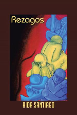 Cover of the book Rezagos by Dan Ryan
