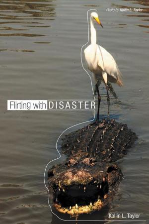 Cover of the book Flirting with Disaster by CK Smith