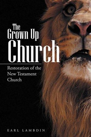 Cover of the book The Grown up Church by Jessica Flaska