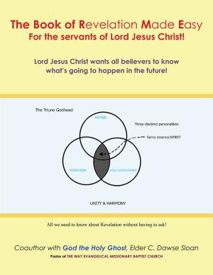 Cover of the book The Book of Revelation Made Easy for the Servants of Lord Jesus Christ! by ‘Sluicebox Sean’ T. Taeschner