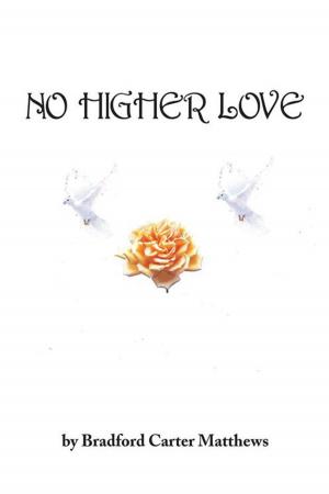 bigCover of the book No Higher Love by 