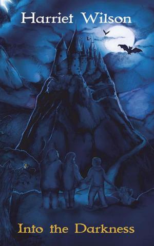Cover of the book Into the Darkness by Ernest M. Roberts.