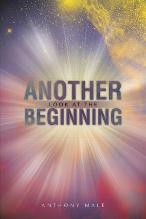 Cover of the book Another Look at the Beginning by Nadia Yacoub Cavallini