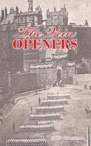 Cover of the book The Vein Openers by K. L. Lamarsh