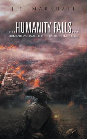 Cover of the book Humanity Falls by Jabulani Danisa