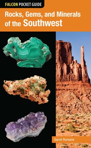 Cover of the book Rocks, Gems, and Minerals of the Southwest by Phil Chandler