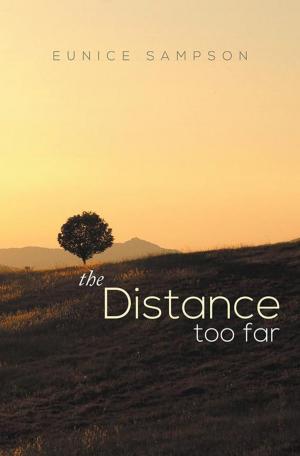 Cover of the book The Distance Too Far by Benjamin Tatanka Dakota