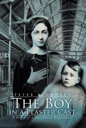 Cover of the book The Boy in a Plaster Cast by Irena Baumruková
