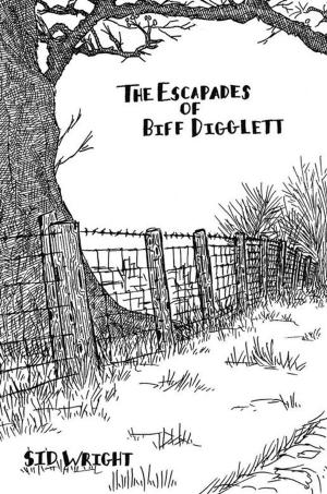 Cover of the book The Escapades of Biff Digglett by Taiwo Tuki