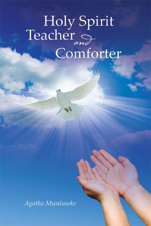 Cover of the book Holy Spirit Teacher and Comforter by Terry Godwin