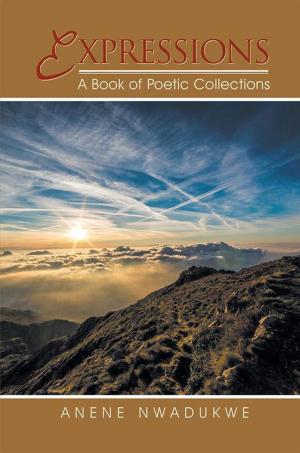 Cover of the book Expressions by Robin Allott