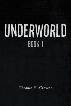 Cover of the book Underworld by Jeffrey Wayne Truitt