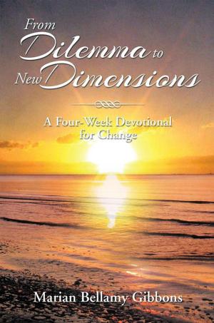 Cover of the book From Dilemma to New Dimensions by Juanita Simmons