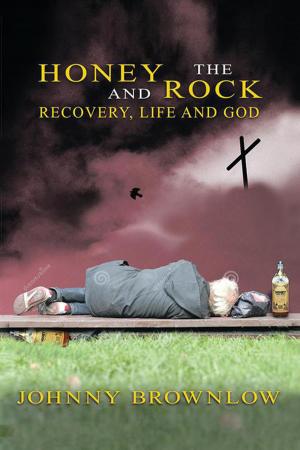 Cover of the book Honey and the Rock by Ed Merwede