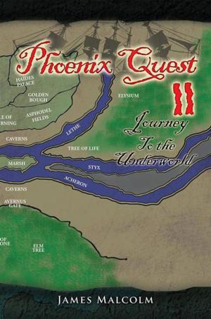Cover of the book Phoenix Quest 2 Journey to the Underworld by Osita Ezenwanebe