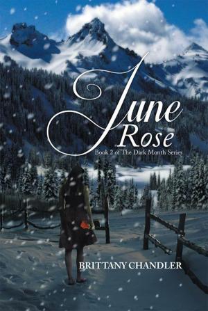 Cover of the book June Rose Book 2 of the Dark Month Series by Arthur Richter